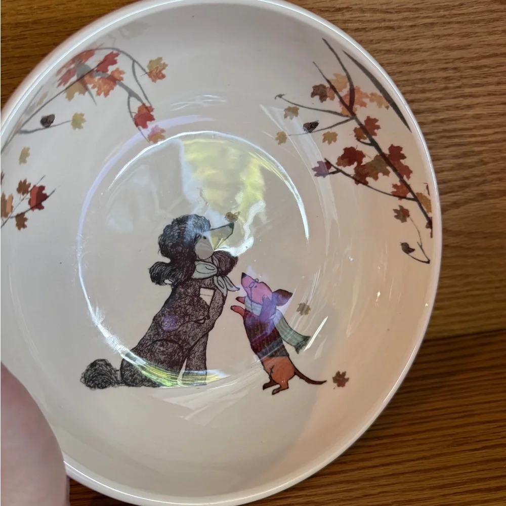 Dogs Dogs Dogs Pier 1 Imports Ironstone Ceramic Bowl Poodle Winer Dog Bull dog